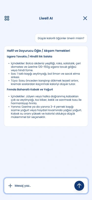 Liwell AI sohbet ekranı